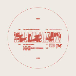 Parquet Courts<br><span class="loop-subtitle">Wide Awake</span>
