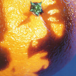 Phish<br><span class="loop-subtitle">Chalk Dust Torture</span>