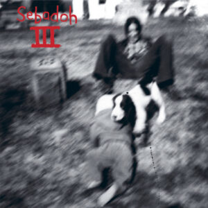Sebadoh<br><span class="loop-subtitle">The Freed Pig</span>