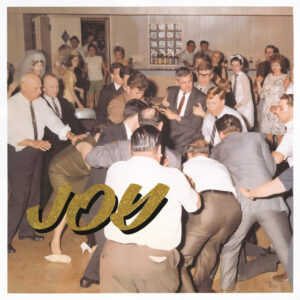 IDLES<br><span class="loop-subtitle">Never Fight a Man with a Perm</span>