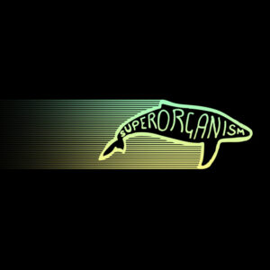 Superorganism<br><span class="loop-subtitle">Something for Your M.I.N.D.</span>