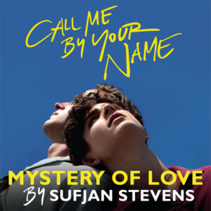 Sufjan Stevens<br><span class="loop-subtitle">Mystery of Love</span>