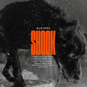Algiers<br><span class="loop-subtitle">Shook</span>