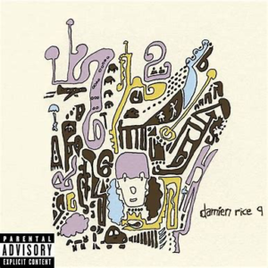 Damien Rice<br><span class="loop-subtitle">9</span>