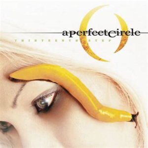 A Perfect Circle<br><span class="loop-subtitle">Thirteenth Step</span>
