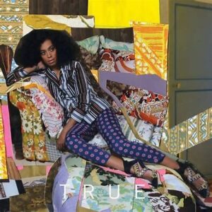 Solange<br><span class="loop-subtitle">Losing You</span>