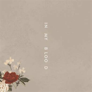 Shawn Mendes<br><span class="loop-subtitle">In My Blood</span>