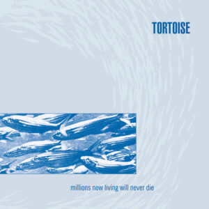 Tortoise<br><span class="loop-subtitle">Djed</span>