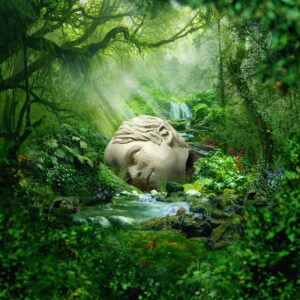 Weezer<br><span class="loop-subtitle">SZNZ Spring</span>