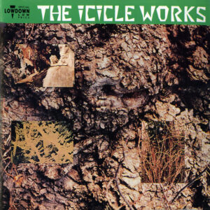 The Icicle Works<br><span class="loop-subtitle">The Icicle Works</span>