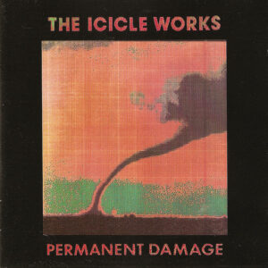 The Icicle Works<br><span class="loop-subtitle">Permanent Damage</span>