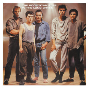 The Boomtown Rats<br><span class="loop-subtitle">In the Long Grass</span>