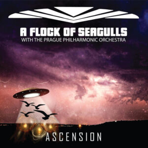 A Flock of Seagulls<br><span class="loop-subtitle">Ascension</span>