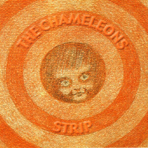 The Chameleons<br><span class="loop-subtitle">Strip</span>