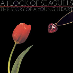 A Flock of Seagulls<br><span class="loop-subtitle">The Story of a Young Heart</span>