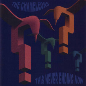 The Chameleons<br><span class="loop-subtitle">This Never Ending Now</span>