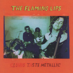 The Flaming Lips<br><span class="loop-subtitle">Christmas at the Zoo</span>