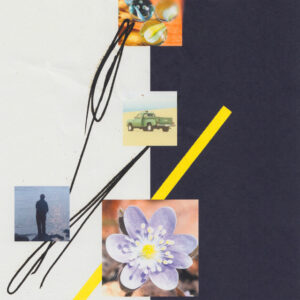 Hovvdy<br><span class="loop-subtitle">billboard for my feelings</span>