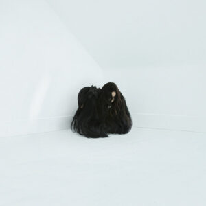 Chelsea Wolfe<br><span class="loop-subtitle">Hiss Spun</span>