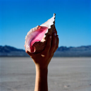 The Killers<br><span class="loop-subtitle">Wonderful Wonderful</span>