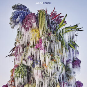 Wilco<br><span class="loop-subtitle">Cousin</span>
