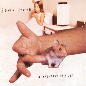 Sonic Youth<br><span class="loop-subtitle">A Thousand Leaves</span>