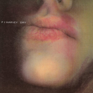 PJ Harvey<br><span class="loop-subtitle">Sheela-Na-Gig</span>
