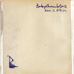 Babyshambles<br><span class="loop-subtitle">Fuck Forever</span>