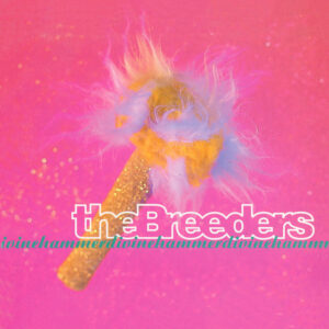 The Breeders<br><span class="loop-subtitle">Do You Love Me Now</span>