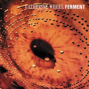 Catherine Wheel<br><span class="loop-subtitle">Black Metallic</span>