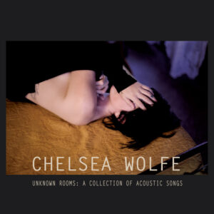 Chelsea Wolfe<br><span class="loop-subtitle">The Way We Used To</span>