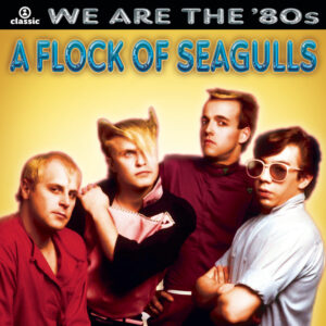 A Flock of Seagulls<br><span class="loop-subtitle">Telecommunication</span>