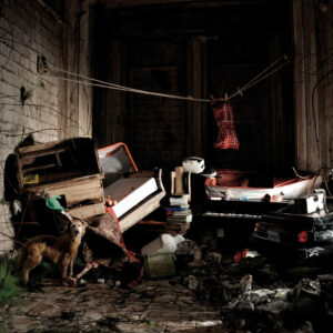 Wintersleep<br><span class="loop-subtitle">New Inheritors</span>