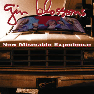Gin Blossoms<br><span class="loop-subtitle">29</span>