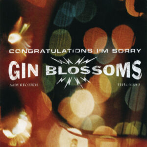 Gin Blossoms<br><span class="loop-subtitle">As Long as It Matters</span>