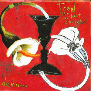 Toad the Wet Sprocket<br><span class="loop-subtitle">Crowing</span>