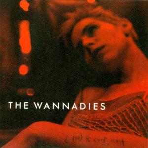 The Wannadies<br><span class="loop-subtitle">How Does It Feel</span>