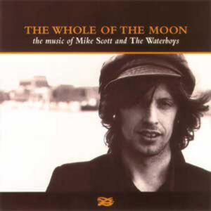 The Waterboys<br><span class="loop-subtitle">This Is the Sea</span>