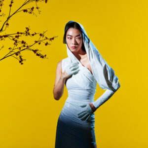 Rina Sawayama<br><span class="loop-subtitle">Catch Me in the Air</span>
