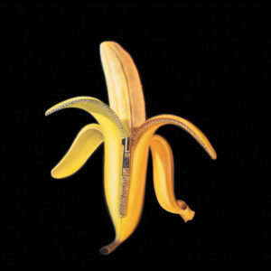 The Dandy Warhols<br><span class="loop-subtitle">Welcome to the Monkey House</span>
