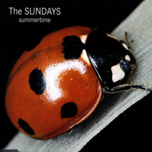 The Sundays<br><span class="loop-subtitle">Summertime</span>