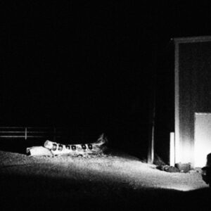 Cloud Nothings<br><span class="loop-subtitle">Last Building Burning</span>