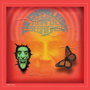 The Chameleons<br><span class="loop-subtitle">Second Skin</span>