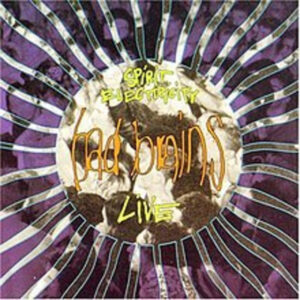 Banned in D.C. by Bad Brains（1982）楽曲解説