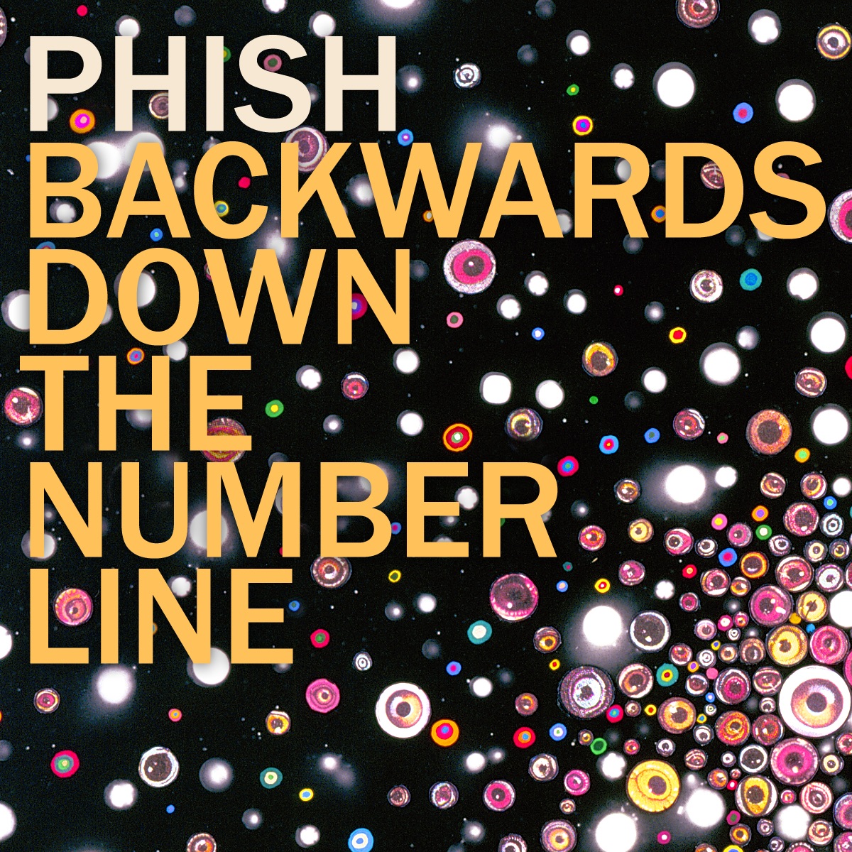Backwards Down the Number Line by Phish（2009）楽曲解説 | Tunesight